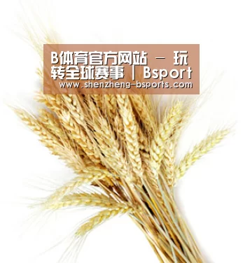 B体育官方网站 - 玩转全球赛事 | Bsports